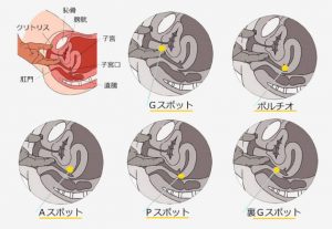 神戸性感帯アロマ30 (神戸発/性感エステ×痴女)｜ほっこりん R18版