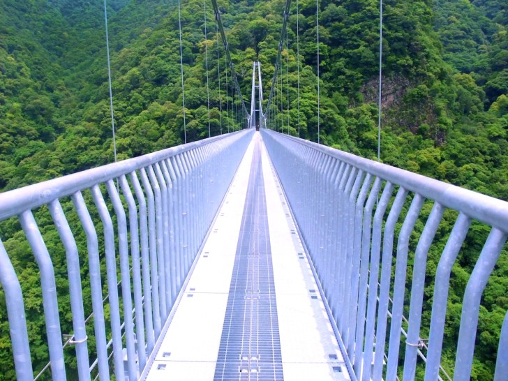 綾の大吊り橋 遊歩道でウォーキング / ヤディさんの綾町の活動日記