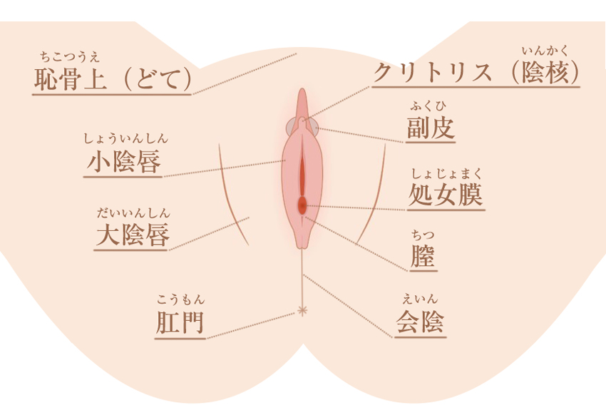 手マンの基本のき -手マン やり方|