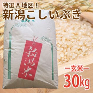 楽天市場】新潟県産 こしいぶき 10kg(5kg×2)