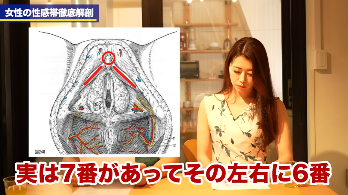 クリトリス（陰核）包茎手術 | 婦人科形成 | 美容整形はTCB東京中央美容外科