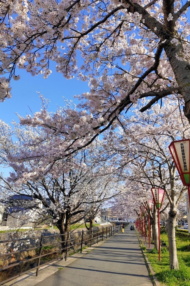 さくら整体院（松江市大庭町）の写真(8件) | エキテン