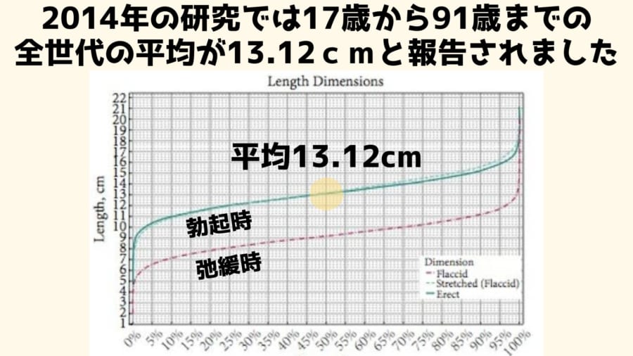 ペニスのサイズはどれくらい？TENGA社内で測ってみた - TENGAヘルスケア