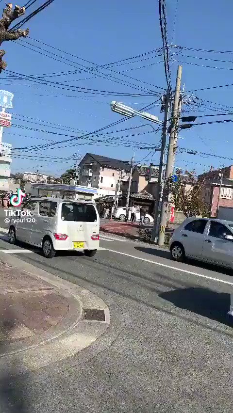 美味しい麺と動物園の楽しい昼ご飯体験