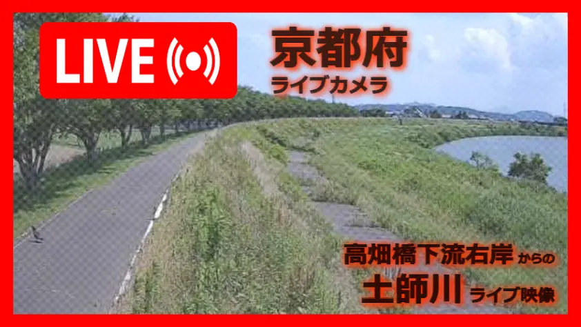 切り抜き 2P□木村沙織・本橋麻里・山本聖子・中井りん・新井麻衣・アリーゼコルネ・ダニエラハンチェコバ/女子アスリート G04の落札情報詳細