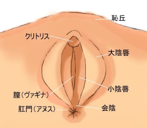 アナル開発が大好きで低音ドSな女上司(ドM騎士団) - FANZA同人