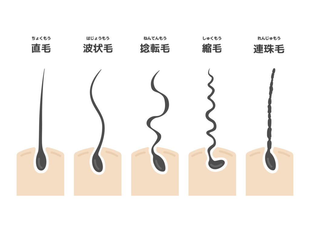 毛周期とは？脱毛と関係ない？部位別の周期や調べ方をわかりやすく解説 | 脱毛コラム｜【STLASSH公式】