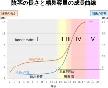 みんな気になるペニスサイズ 日本人の平均は何センチ？図り方はこれだ！ | 大人の性愛ジャーナル Qjira