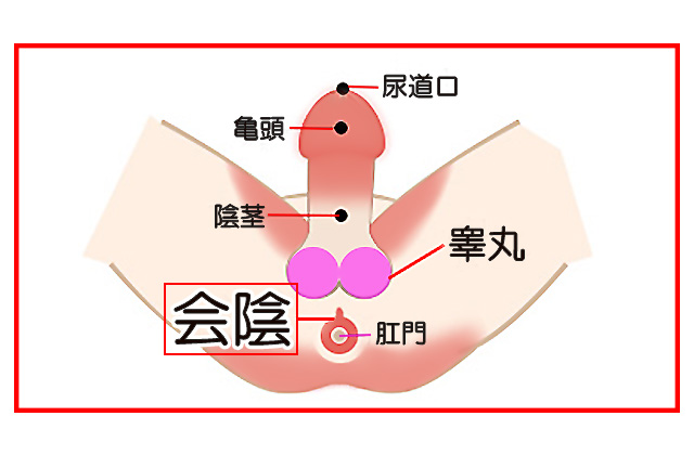 女性が感じる仕組みとは？オーガズムとスキーン腺の関係について解説 | コラム一覧｜ 