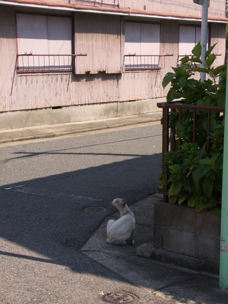 稲永遊郭（名古屋市港区）｜遊郭・赤線跡をゆく｜ | ページ 2