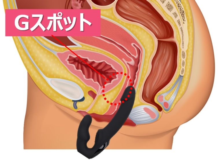 Gスポットで潮を吹かせる攻め方を解説｜奥から手前に指を動かすのがコツ