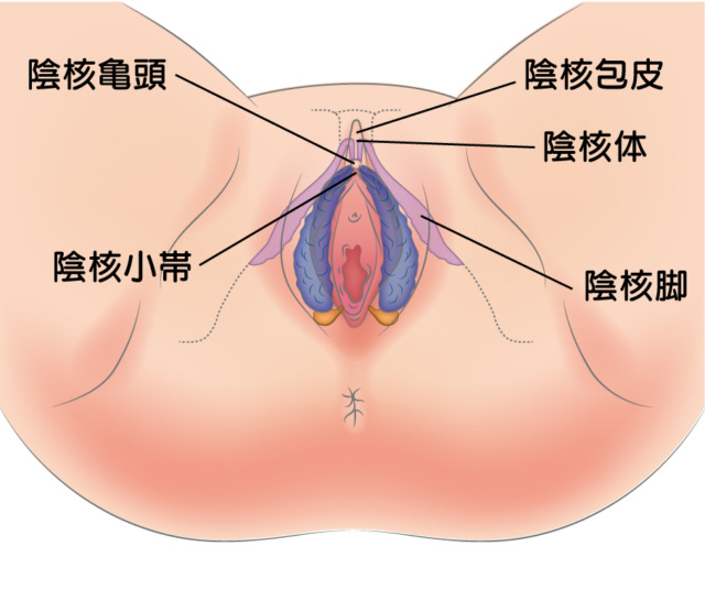 クリ 気持ちいの♡ クリトリスいじいじ