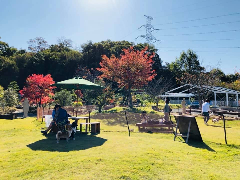 日本一かわいい大学１年生に立教大・石川真衣さん「アナウンサーに興味」/芸能/デイリースポーツ online