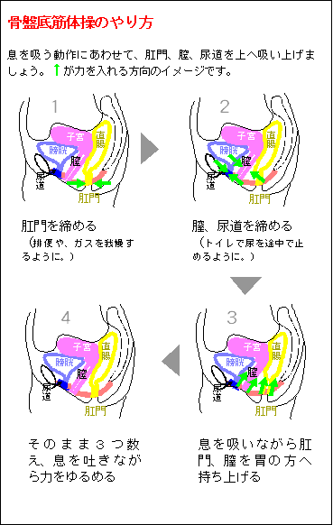 前立腺肥大症への新しい核出・レーザー治療 - 慶應義塾大学医学部