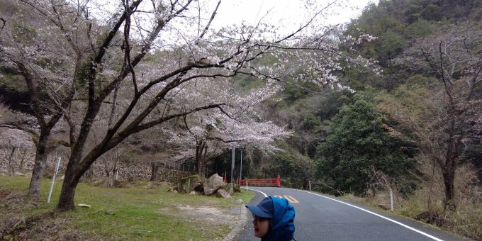 ニューハーフ 中 出 三郷市