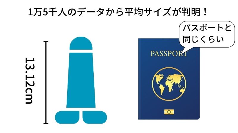 ちんぽで大事なのは、長さ、太さ、硬さのどれだと思いますか？ 私はかたさだとおもいます。 | Peing