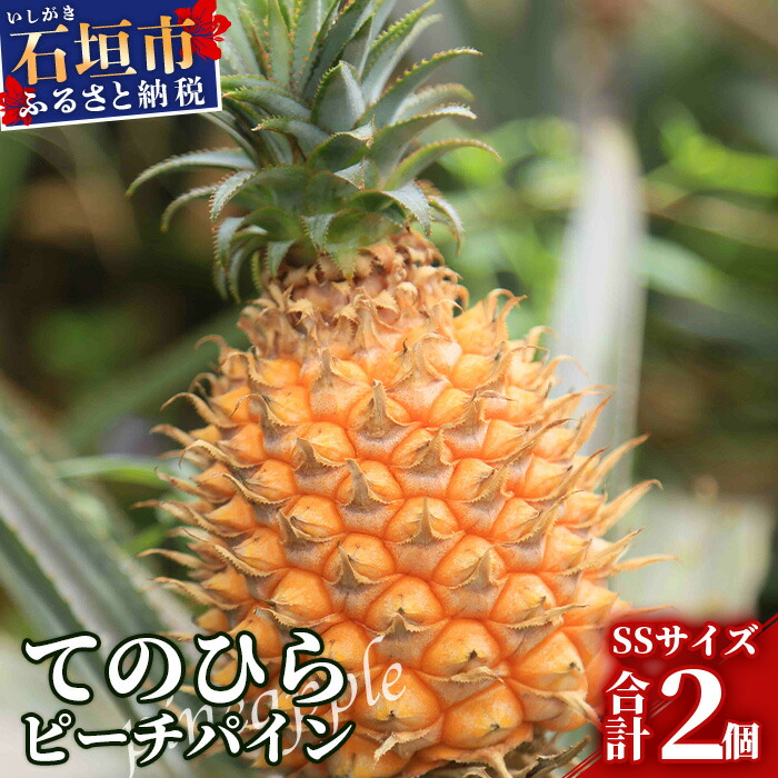 最高級フルーツブランド 沖縄県宮古島産 ピーチパイン🍍 沖縄県から生まれたパイナップル。 通常出回っている