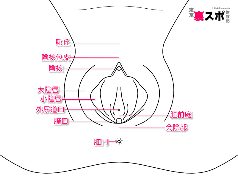 セックステクニックで女性を本当に気持ちよくする基礎知識【男性向け】－AM