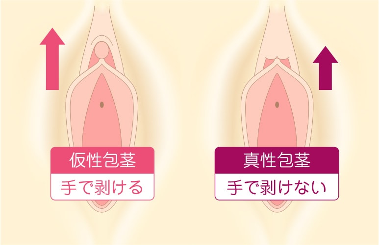 お知らせ | 【公式】浜松市のホテル・割烹料亭・呉竹荘