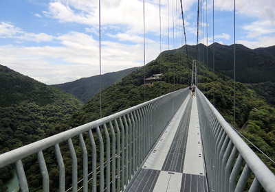 綾の照葉大吊橋(綾町) | スポット・体験