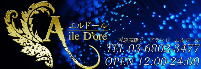 東京.吉原のNS/NNソープ『エルドール』店舗詳細と裏情報を解説！【2024年12月】 | 珍宝の出会い系攻略と体験談ブログ