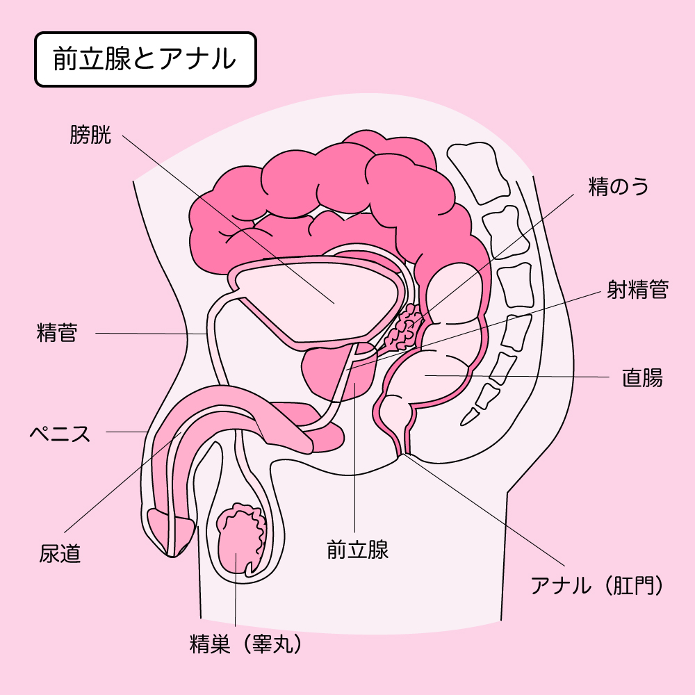 アナルセックス中出し(別角度あり)- Luscio ラシオ