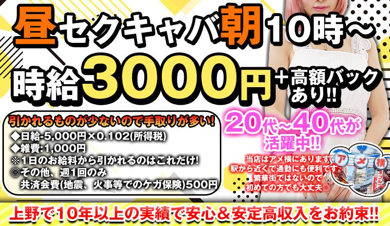 東京のセクキャバ・おっパブ求人【バニラ】で高収入バイト