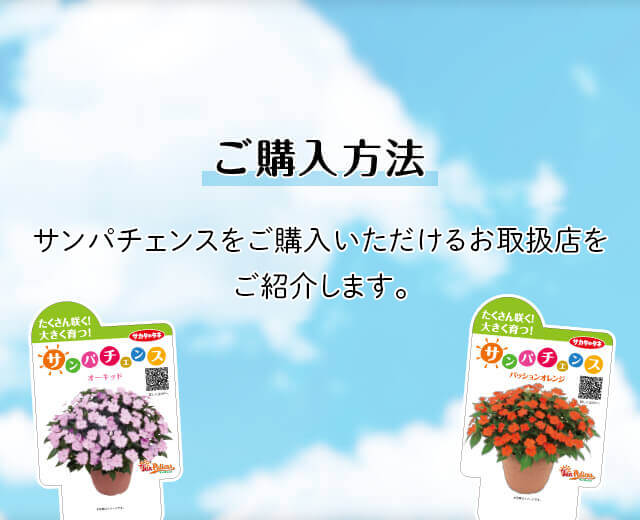 鉄道むすめ公式：立石あおば／鉄道むすめ広報