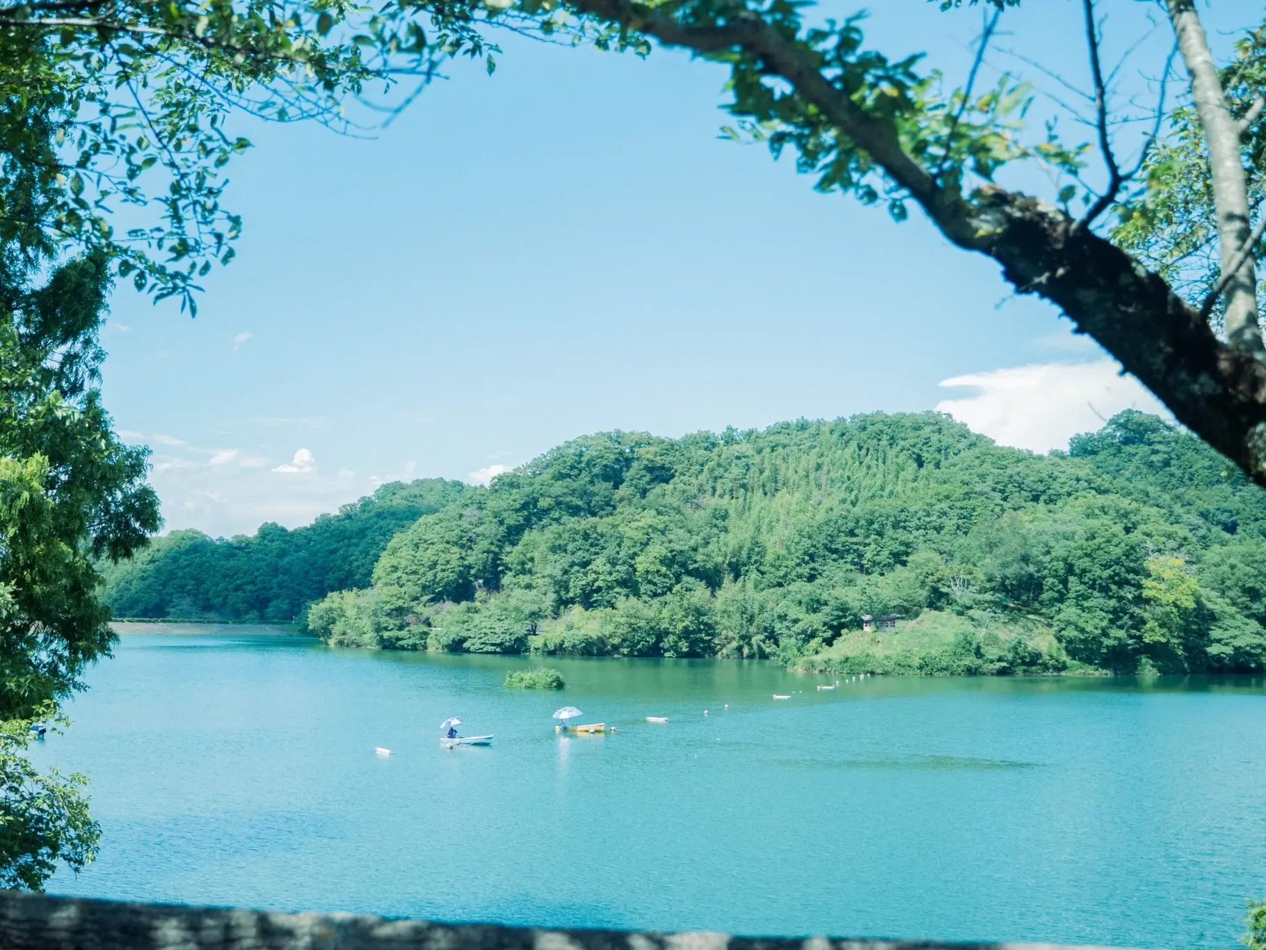 月山姥沢で東北山岳ガイド協会ガイド仲間と研修 : 葉っぱ塾～ブナの森から吹く風