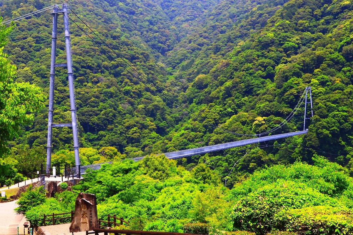 綾の照葉大吊橋 | 観光スポット |