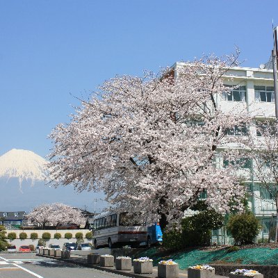 清水吉原から望む富士山 /静岡県静岡市清水区 』清水(静岡県)の旅行記・ブログ