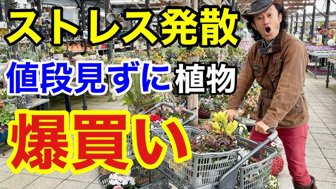 あすと長町で『秋田比内や仙台長町店』に改装中の『爆2あすと長町店』、冷凍自販機が爆誕してるみたい！ | 仙台つーしん