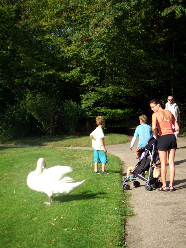 パリその3； パリ市民の憩いの場、明るい公園、ブローニュの森の暗いかげ - イギリス／ストックポート日報