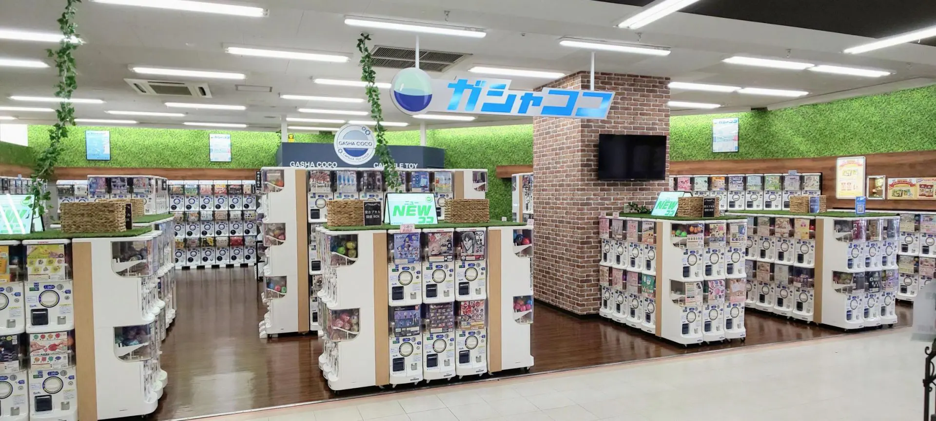 ＣｏＣｏ壱番屋 水戸南インター店／ホームメイト