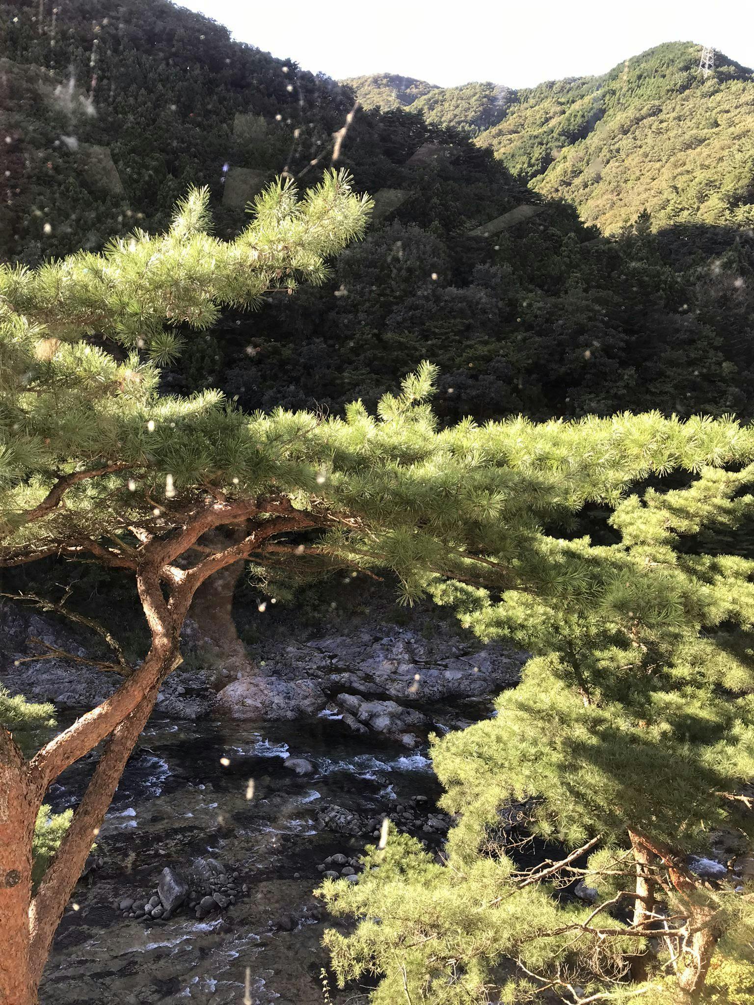 鬼怒川温泉 花の宿 松や 旅館 |