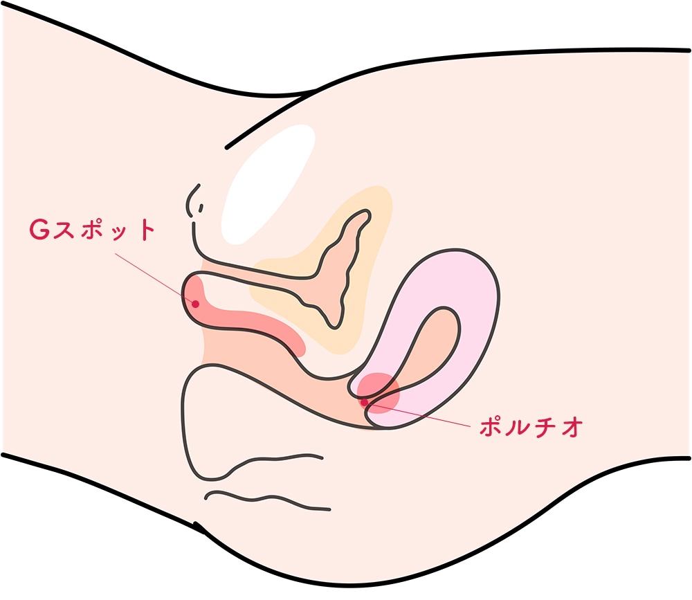 クリトリスの触り方！クリ愛撫でのいじり方 - 夜の保健室