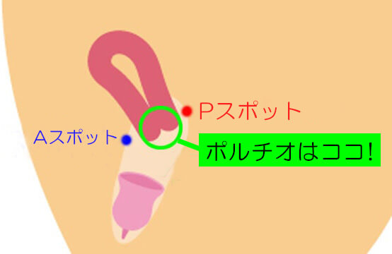 上手な手マンの方法 なぜあなたの手マンは痛いのか｜カップルがセックスを話す/ぬー&しゅー