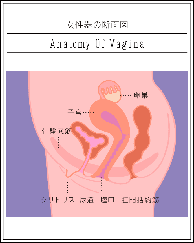 性交体位はどんな種類がある？体位を変えるメリットとは - 藤東クリニックお悩みコラム