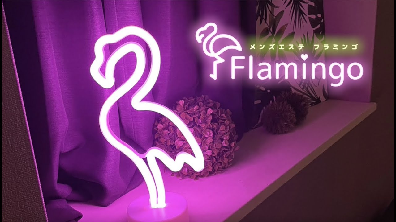 Flamingo (フラミンゴ) 松坂みり