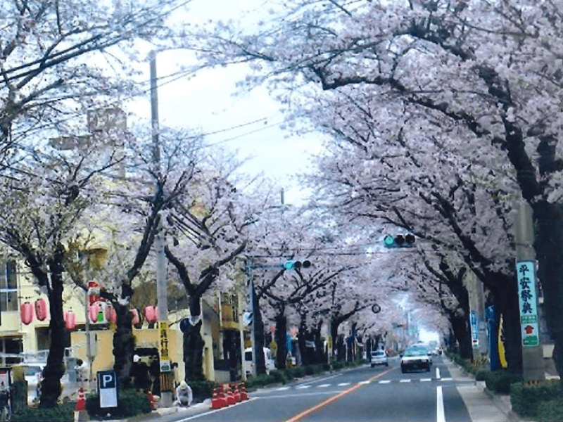 2024年12月最新】千葉市花見川区の看護師/准看護師求人・転職・給料 | ジョブメドレー