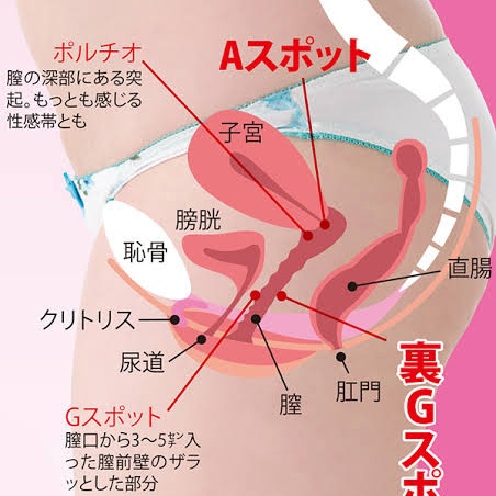 菊屋素材集】Clip Studio 膣内ブラシ - Kikunyi