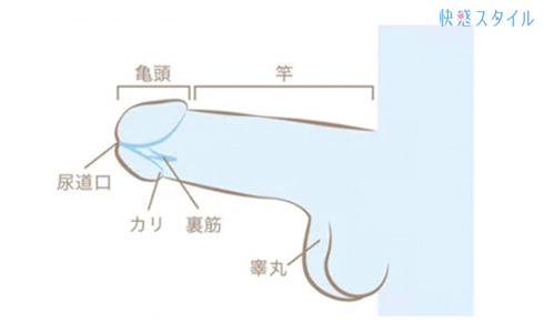 タイチ | 【チ◯コ挿れてピス◯ンでイカせる方法】 👉毎日投稿中！ 他の投稿はこちら