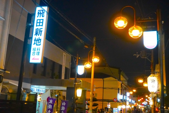 5ページ目）ビキニ美女だらけでまるで海水浴場！？ 祭りの夜の「飛田新地と松島新地」を歩く | FRIDAYデジタル