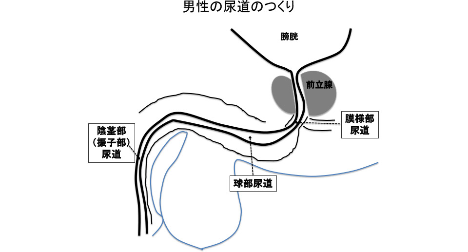 まなか牛乳 on X: