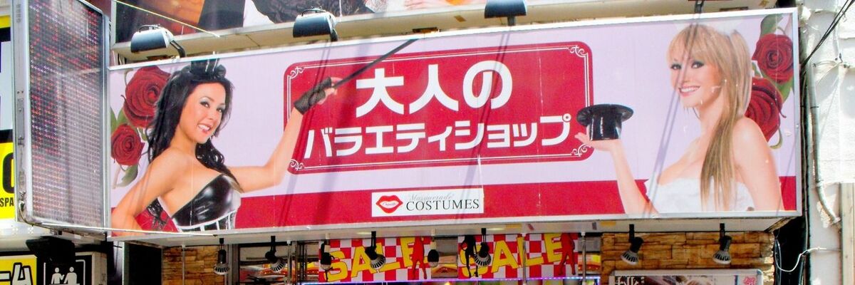 岩手県の大人のおもちゃ店11店舗】アダルトグッズを安心安全最安値で買うならココ！ | 【きもイク】気持ちよくイクカラダ