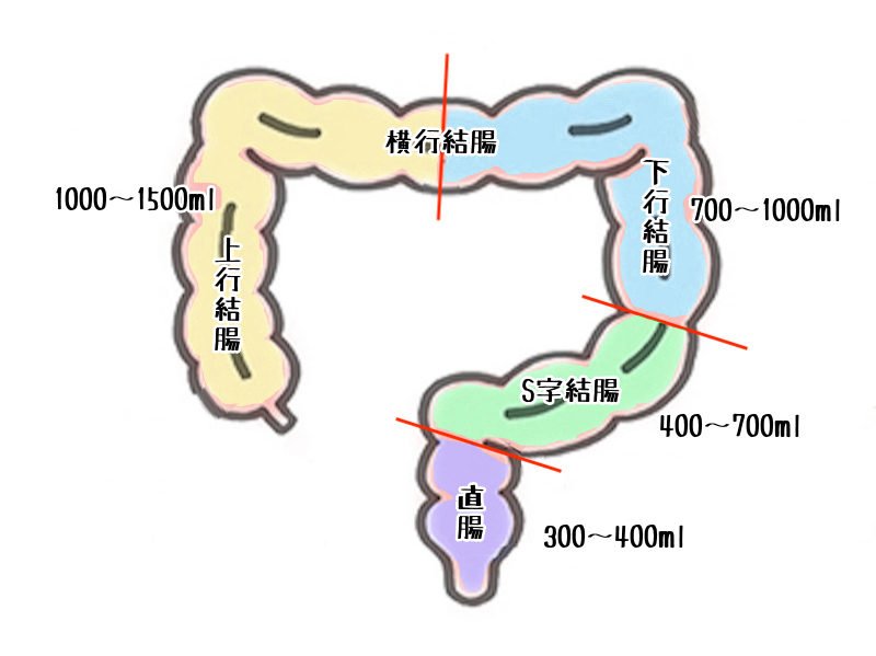 結腸責めって気持ちいいの？やり方やS字結腸の開発オナニーを解説｜風じゃマガジン