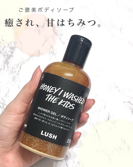 LUSH ラッシュ ファンレインボー クレイソープ