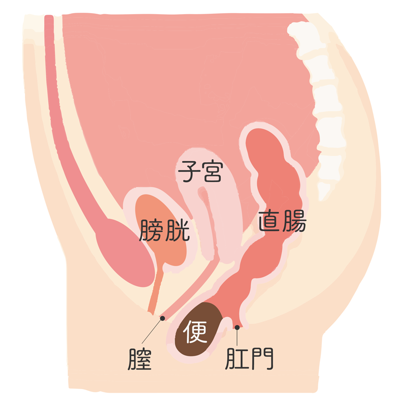 巨根彼氏を持つ彼女の良い本音。悩みと解決策も解説！｜あんしん通販コラム