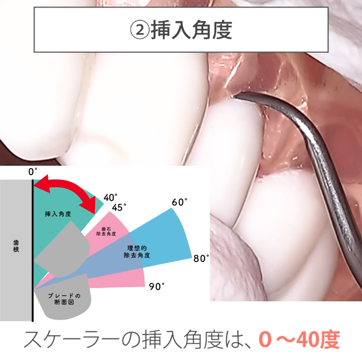 手紙（便箋）の折り方、封筒への入れ方| 手紙の書き方