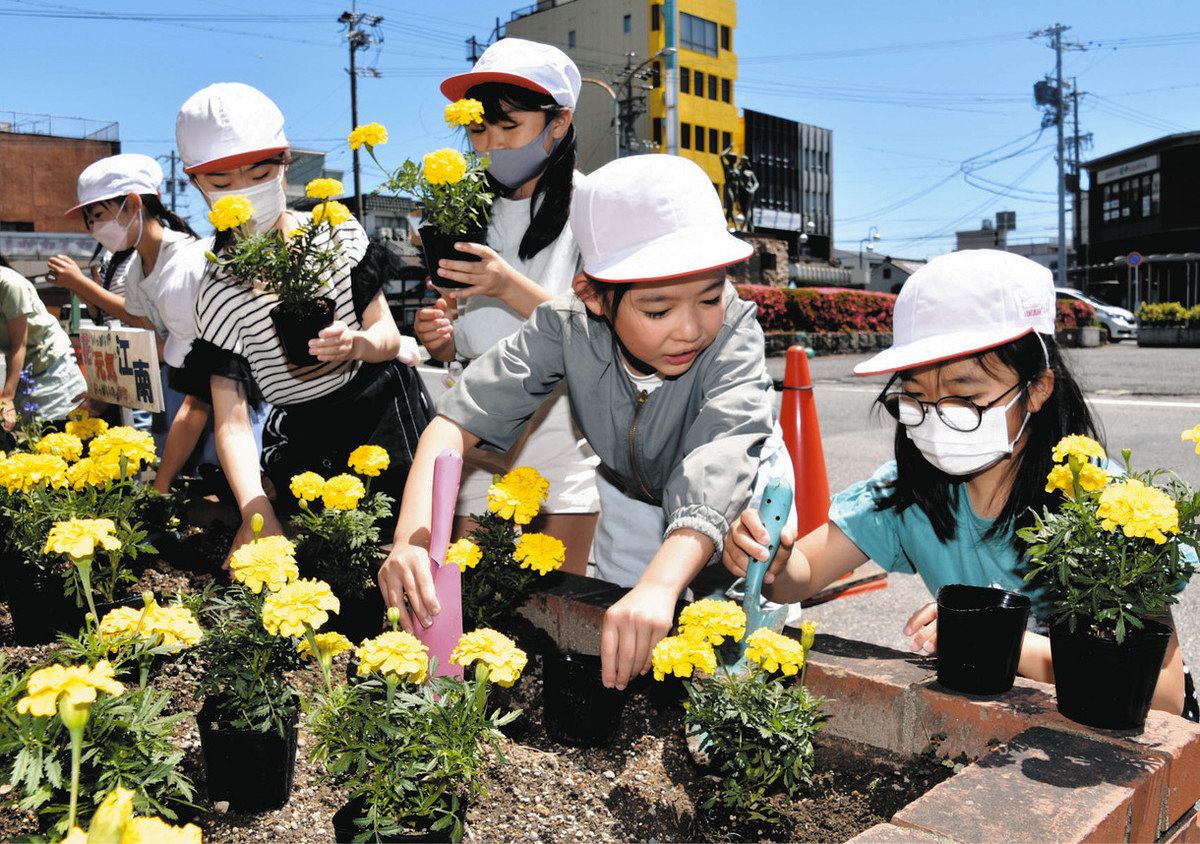 通常より3割程お買い得…愛知・安城市のデンパークで「フラワーマーケット」地元の園芸農家が鉢植え等販売 | 東海テレビNEWS